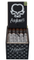 Preview: Asylum 13 Robusto